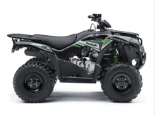 Фотография Brute Force 750 4x4i EPS